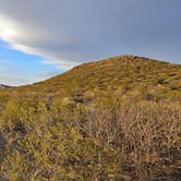 Review photo of Three Rivers Petroglyph Site by Angela B., April 2, 2024