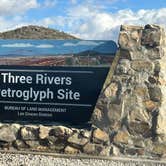 Review photo of Three Rivers Petroglyph Site by Alisa P., November 23, 2025