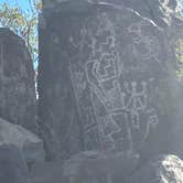 Review photo of Three Rivers Petroglyph Site by Roger W., May 4, 2024