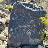 Review photo of Three Rivers Petroglyph Site by Paulette R., April 7, 2024