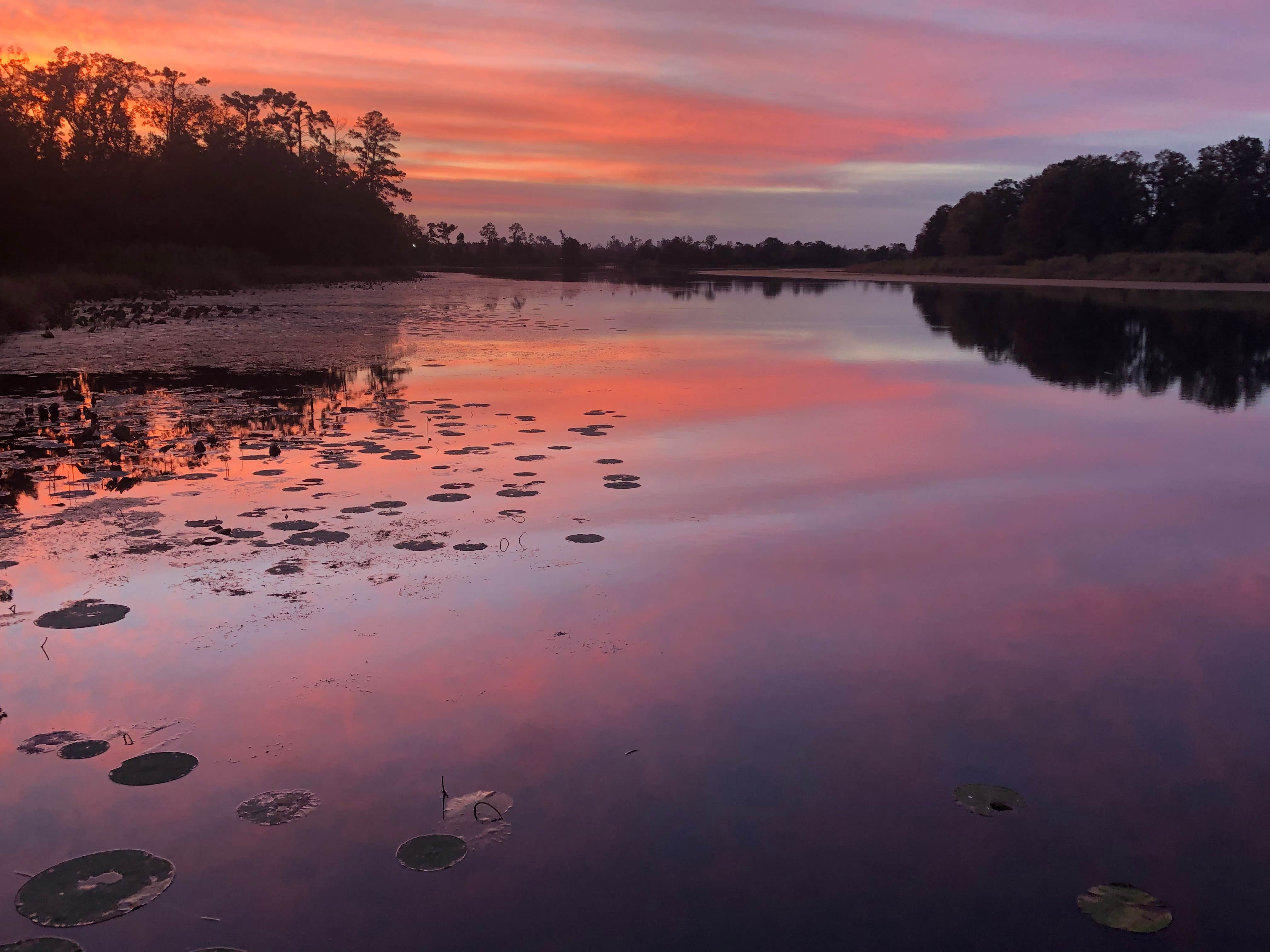 Camper submitted image from Three Rivers State Park Campground - 5