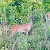 Review photo of Three Rivers State Park Campground by L&A C., May 19, 2024