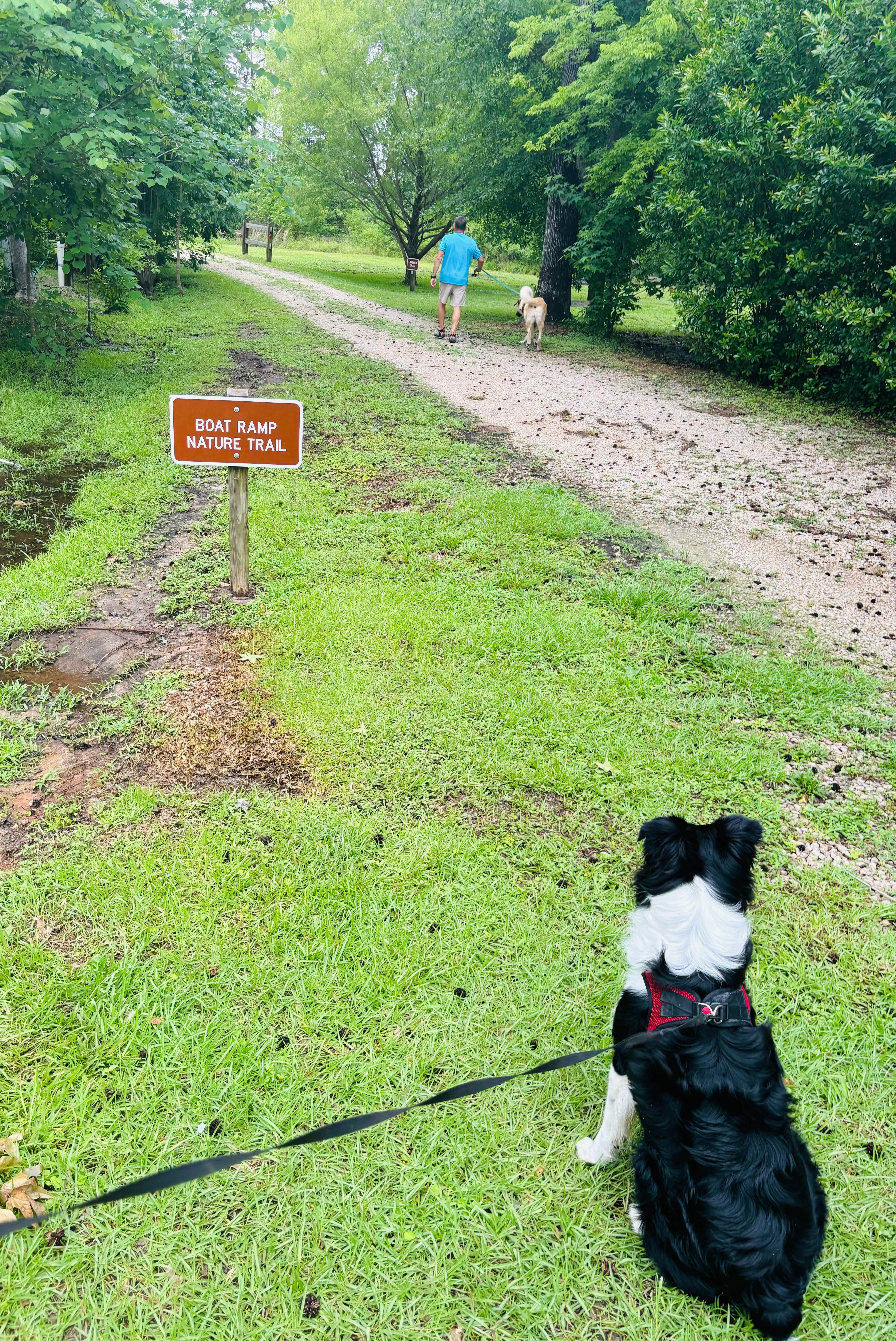 L&A C.'s photo of camping with pets at Three Rivers State Park Campground near Chattahoochee, FL