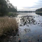 Review photo of Three Rivers State Park Campground by William B., October 23, 2023