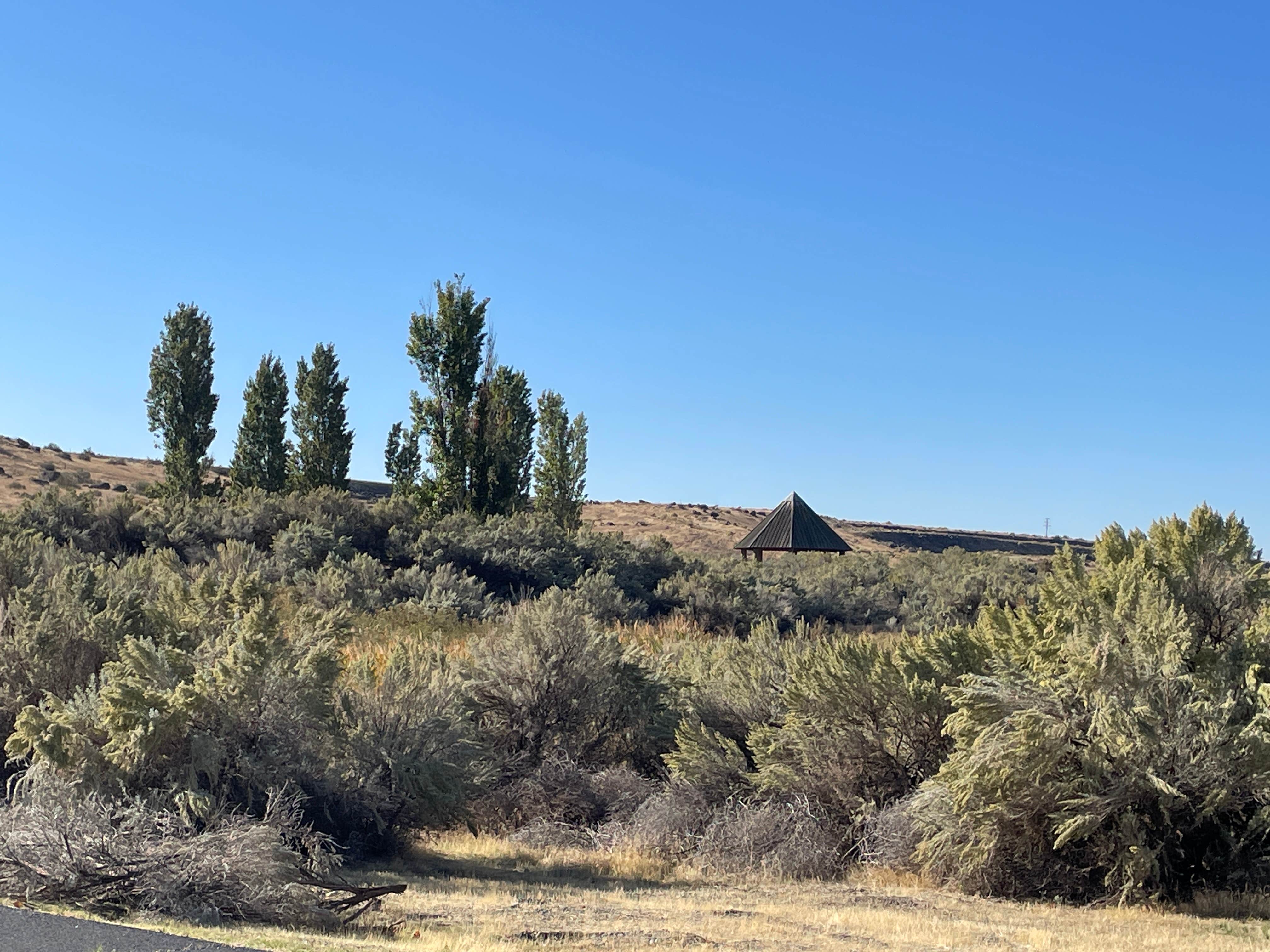 Camper-submitted photo at Threemile Canyon Park near Mikkalo, OR