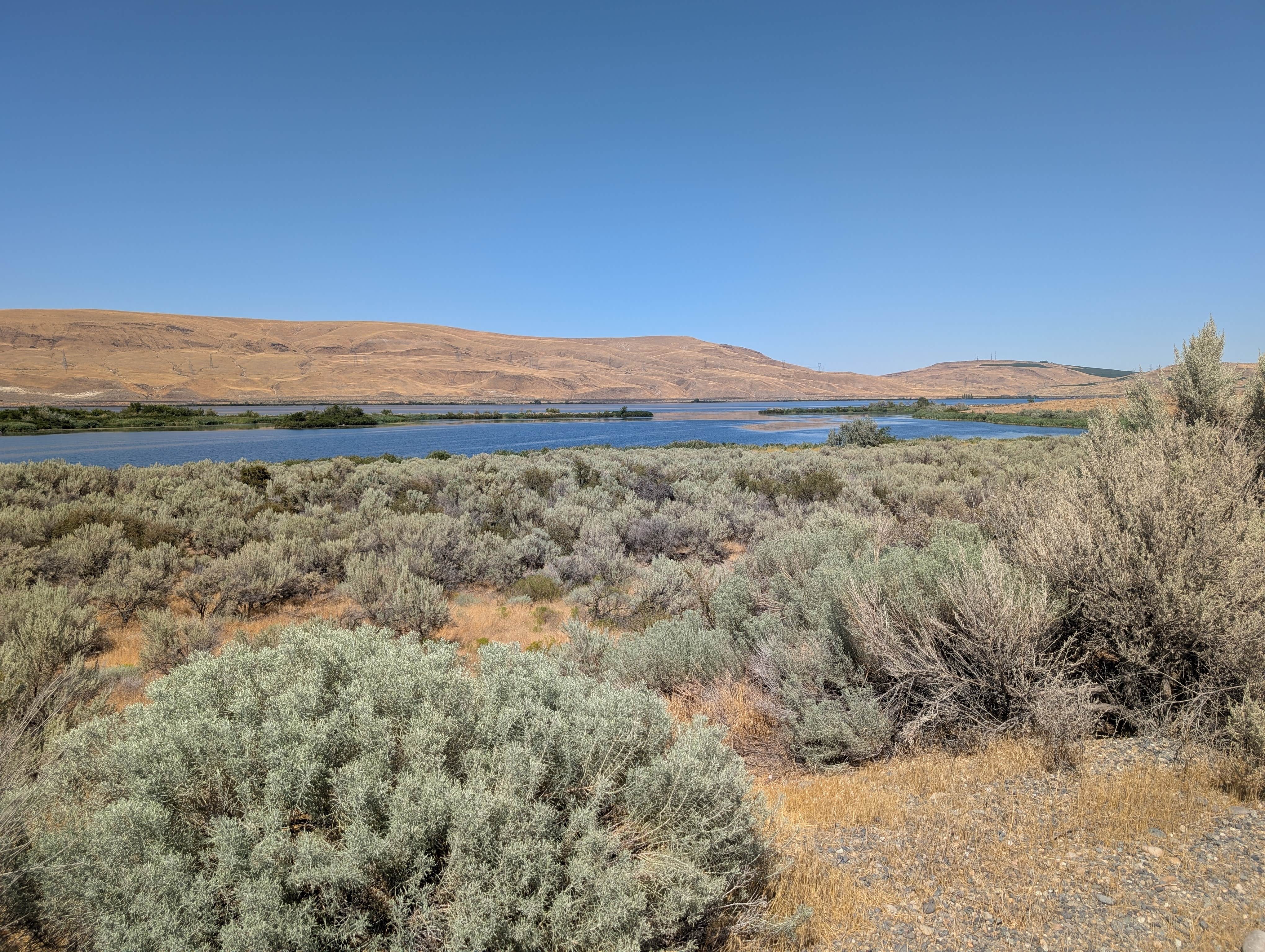 Camper-submitted photo at Threemile Canyon Park near Mikkalo, OR