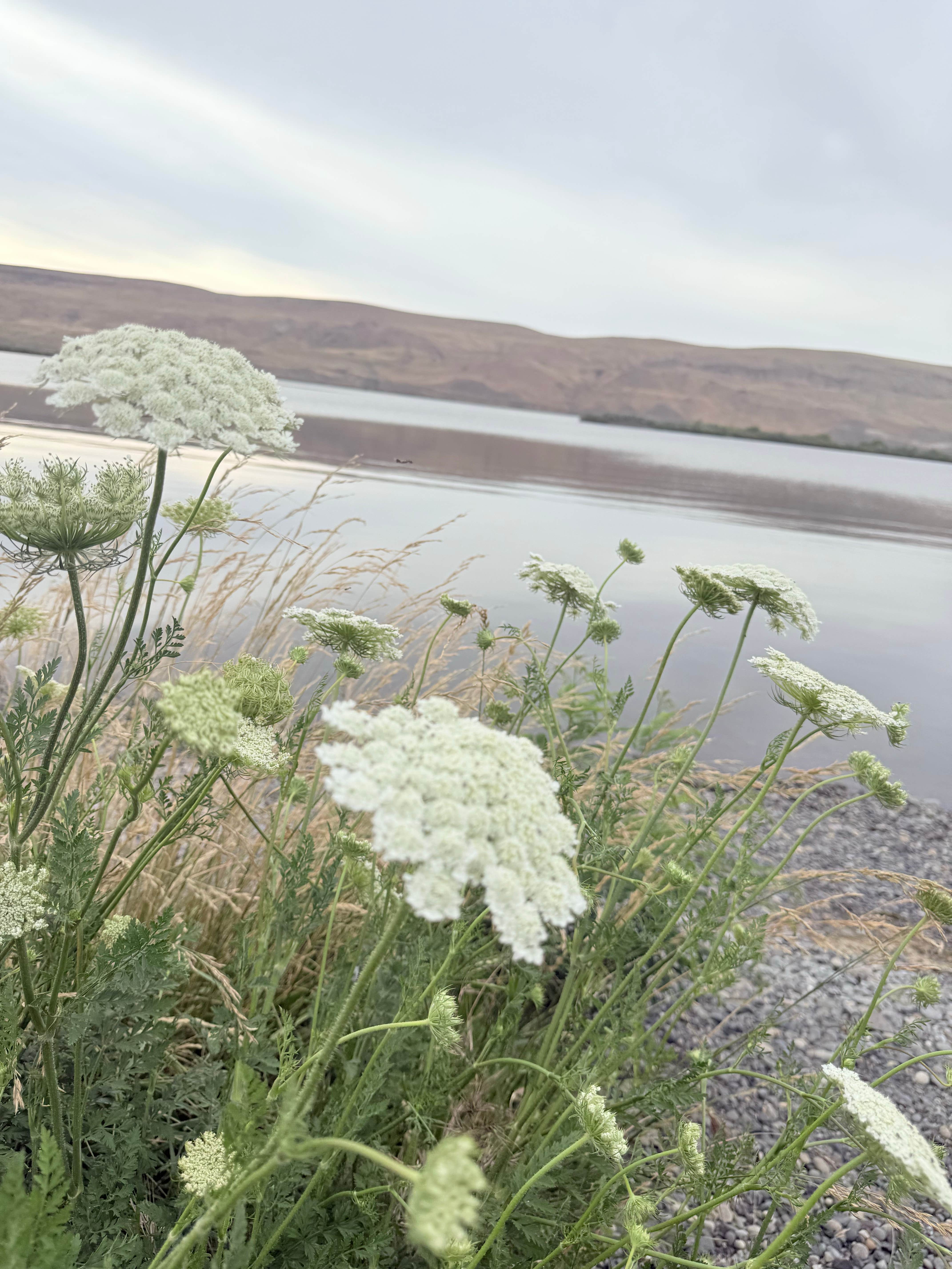 Threemile Canyon Park