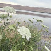 Review photo of Threemile Canyon Park by Denise P., June 20, 2025