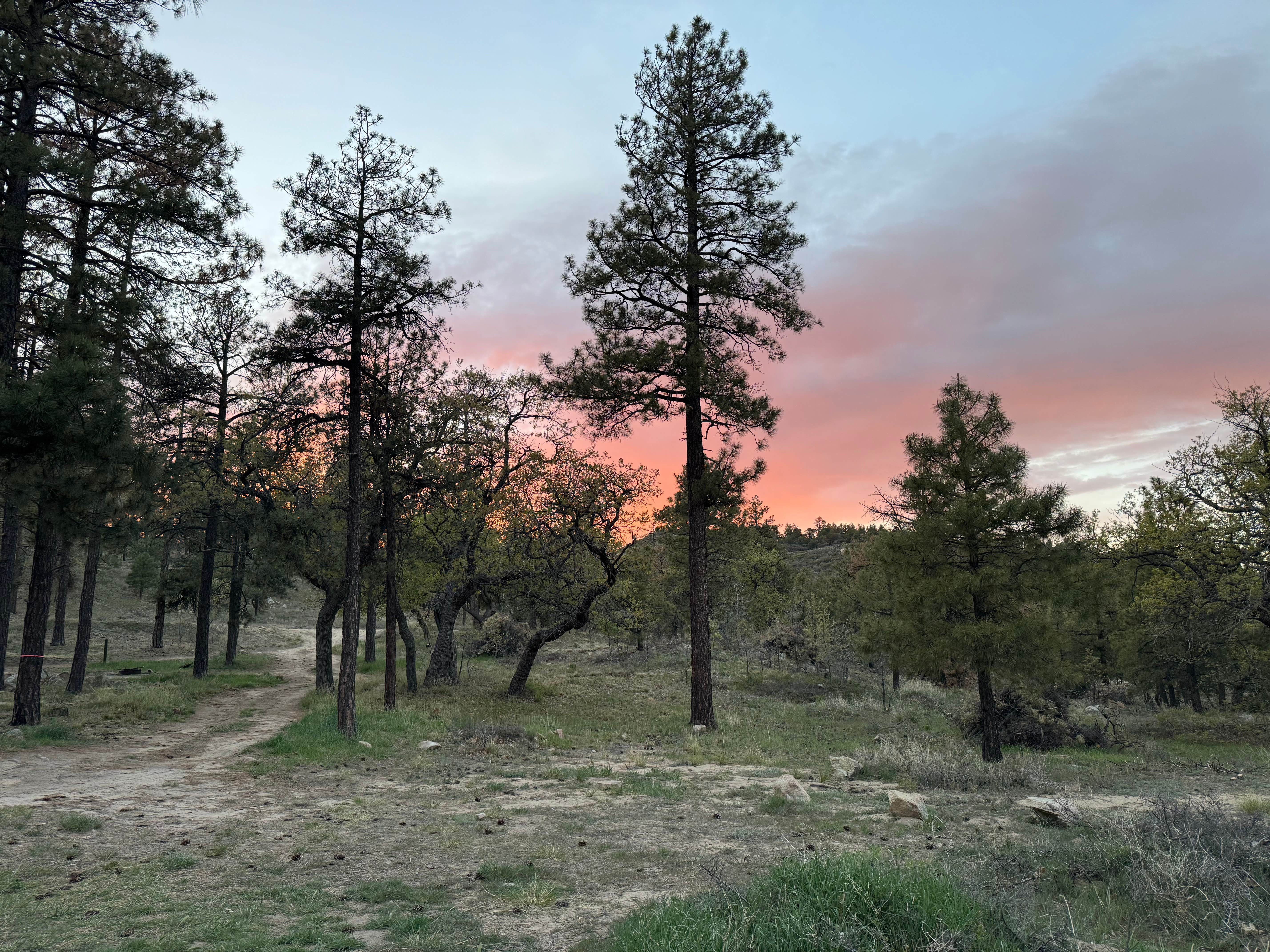 Camper-submitted photo at Thumb Butte Loop Campsites near Prescott, AZ