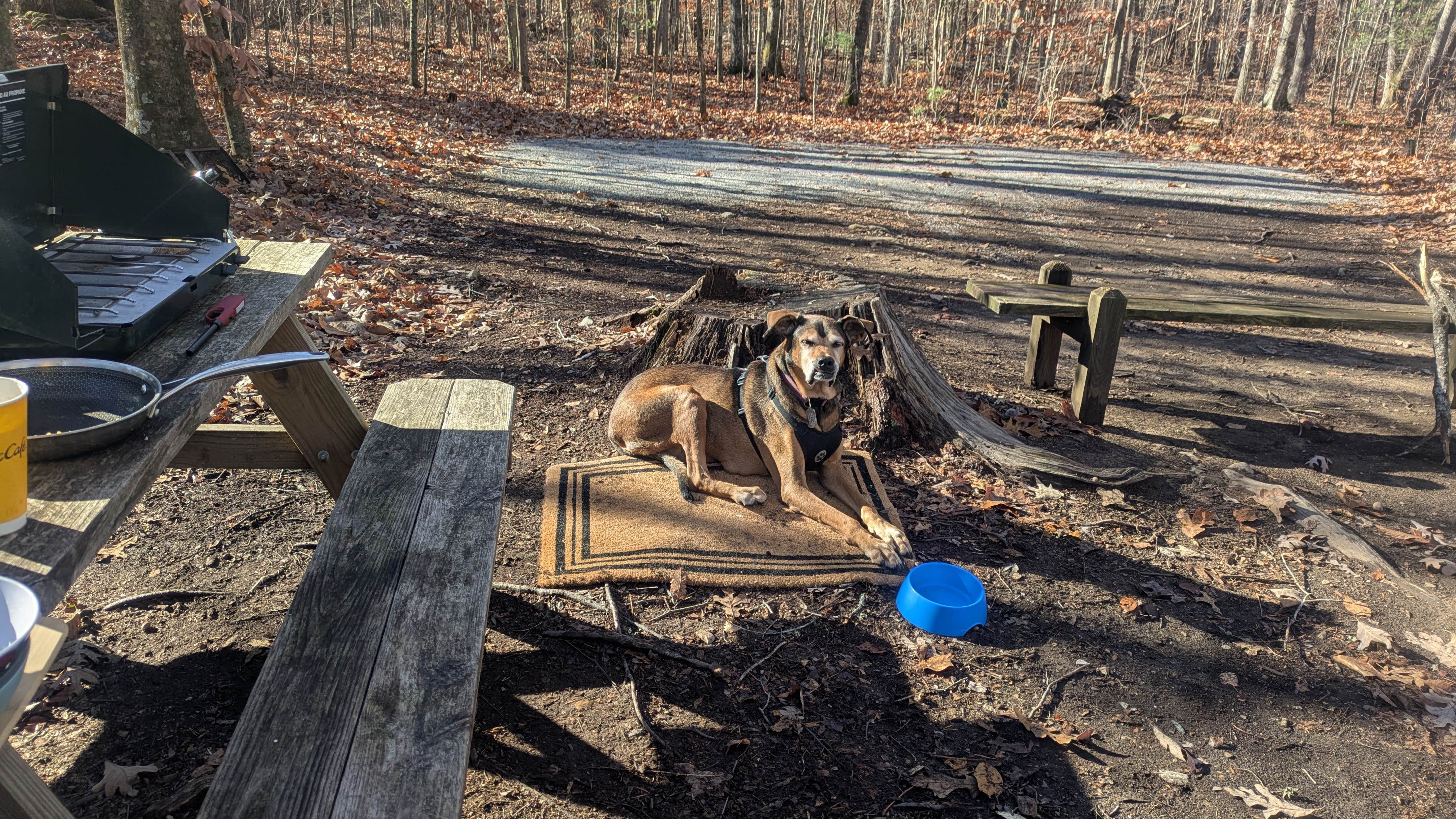 Camper submitted image from Thunder Bridge - 5