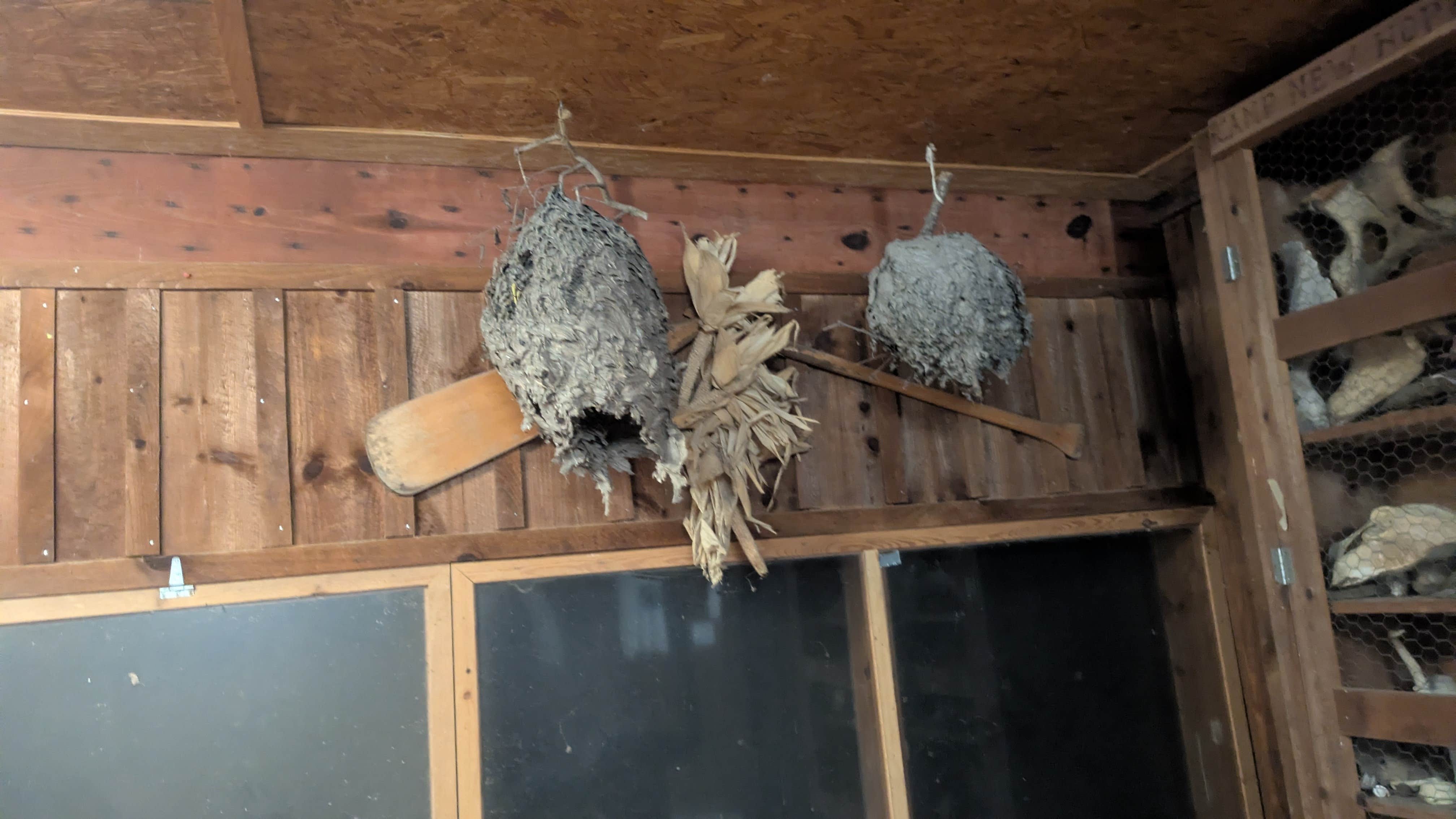 Camper submitted image from Thunder Bridge - 3