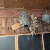 Review photo of Thunder Bridge by Vidalia S., November 22, 2025