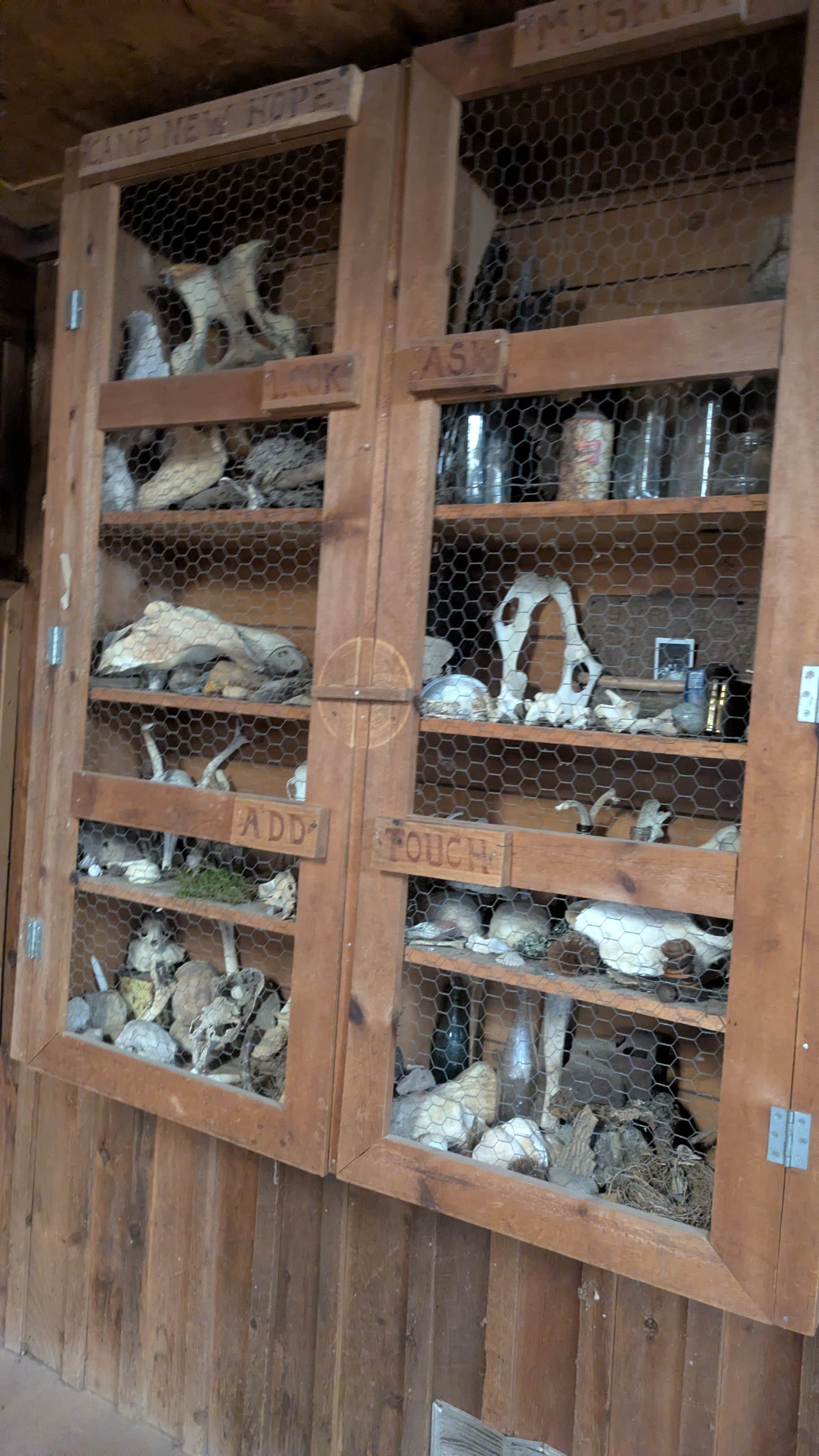 Camper submitted image from Thunder Bridge - 2