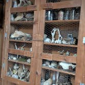 Review photo of Thunder Bridge by Vidalia S., November 22, 2025