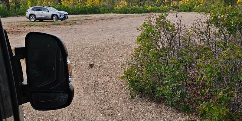 Camper submitted image from Thunder Road North