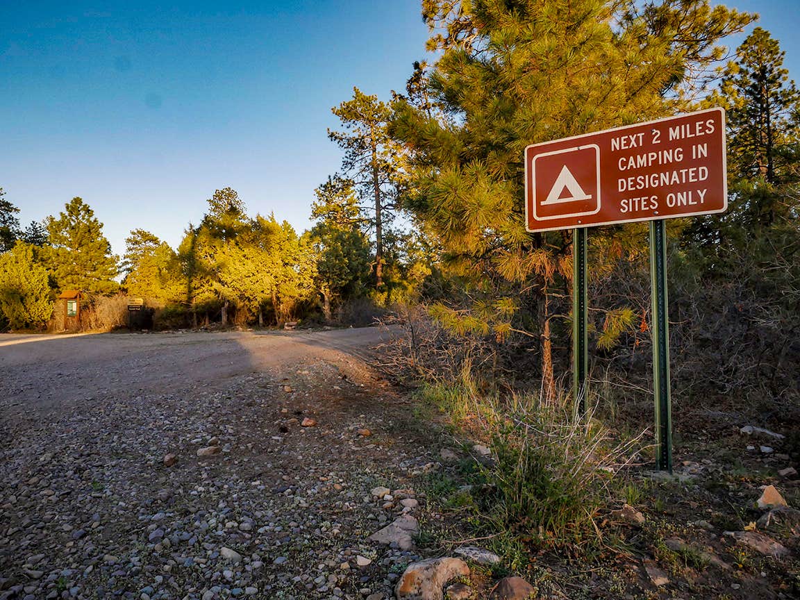 Camper-submitted photo at Thunder Road Dispersed near Norwood, CO
