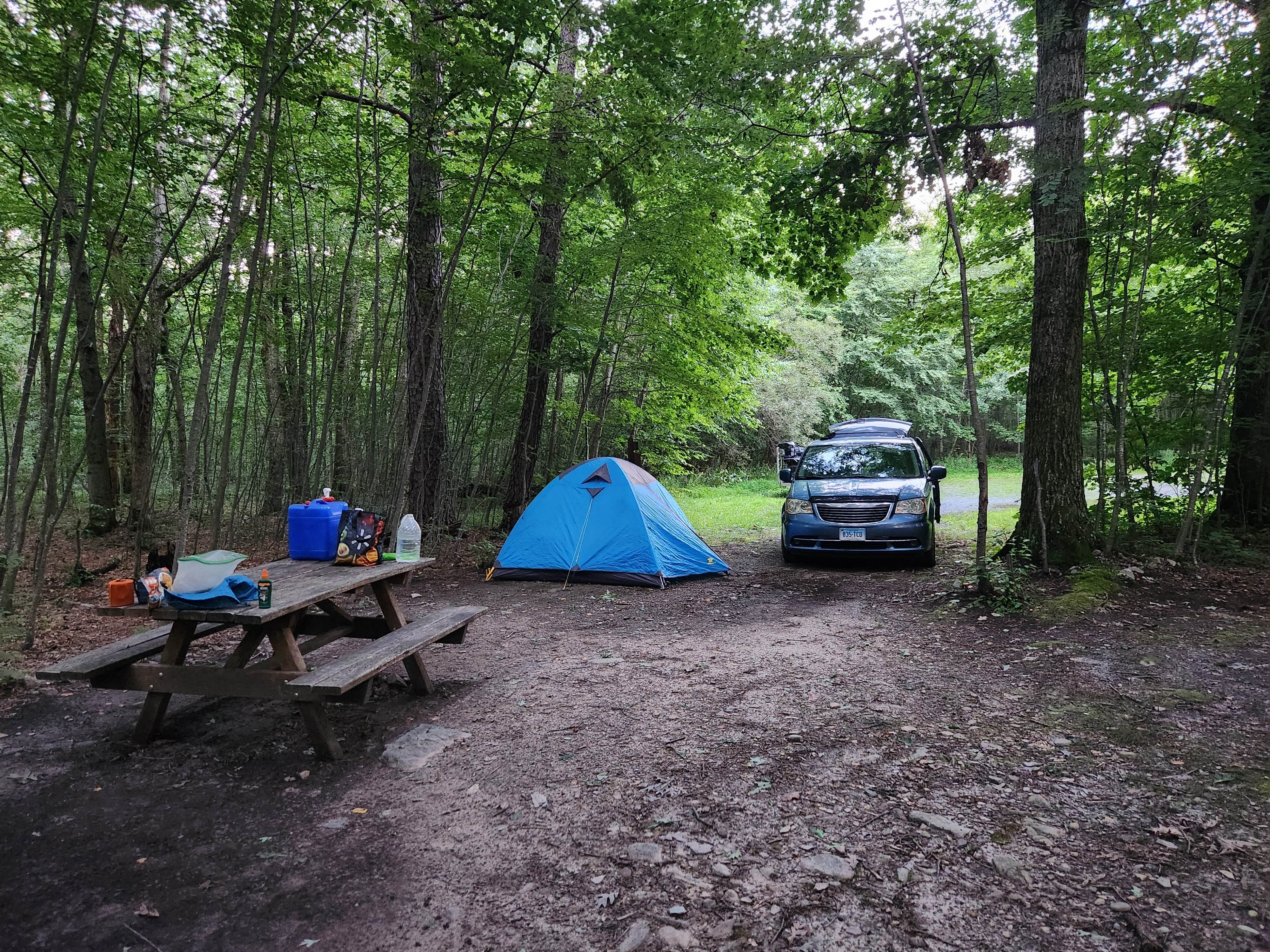 Camper-submitted photo at Thunder Swamp Trailhead near Erwinna, PA