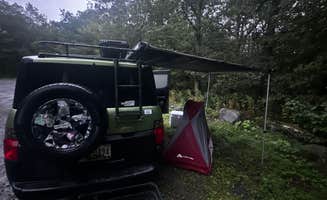 benjamin H.'s photo of a dispersed camping area at Thunder Swamp Trailhead near Tuxedo Park, NY