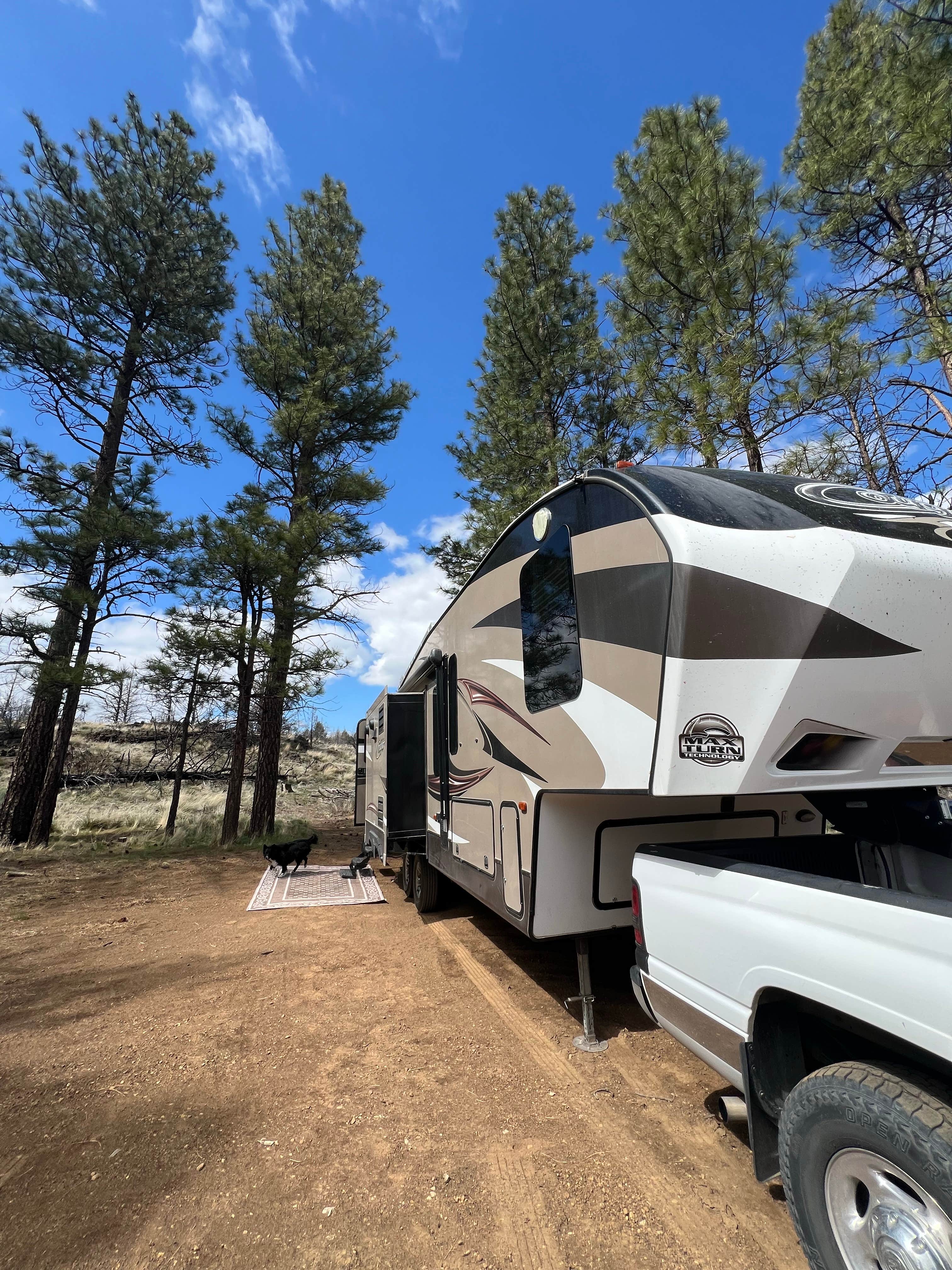 Camper submitted image from Tickner Rd - 4