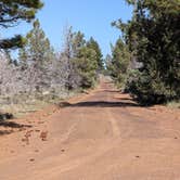 Review photo of Tickner Rd by Marie D., April 24, 2026