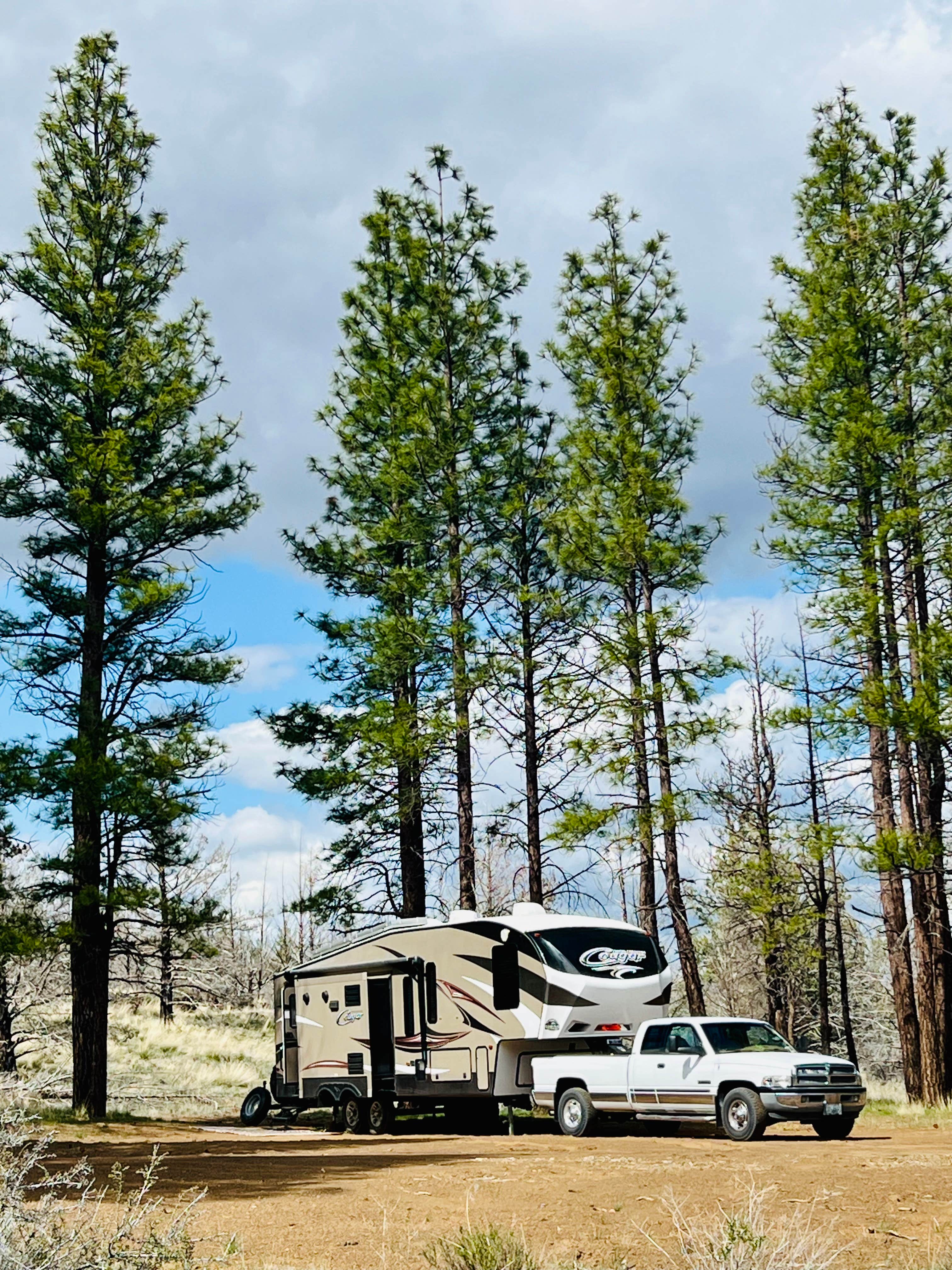 Camper submitted image from Tickner Rd - 1