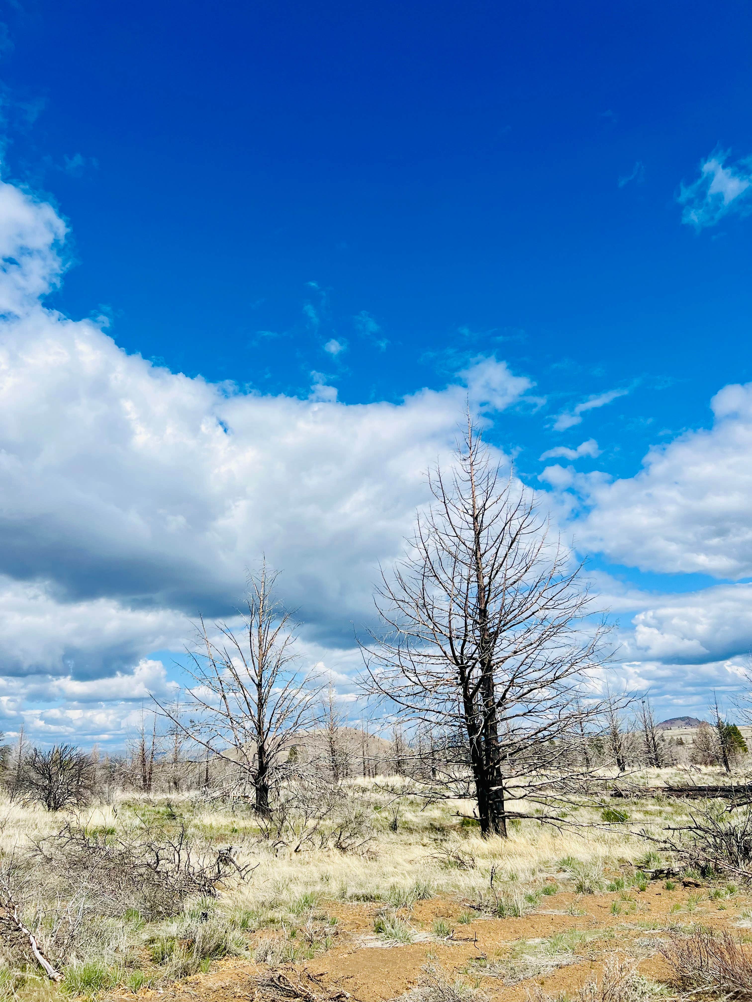 Camper-submitted photo at Tickner Rd near Tulelake, CA