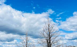 Jayne N.'s photo of a dispersed camping area at Tickner Rd near Tulelake, CA