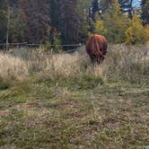 Review photo of Tie City Campground by Scott C., September 27, 2026