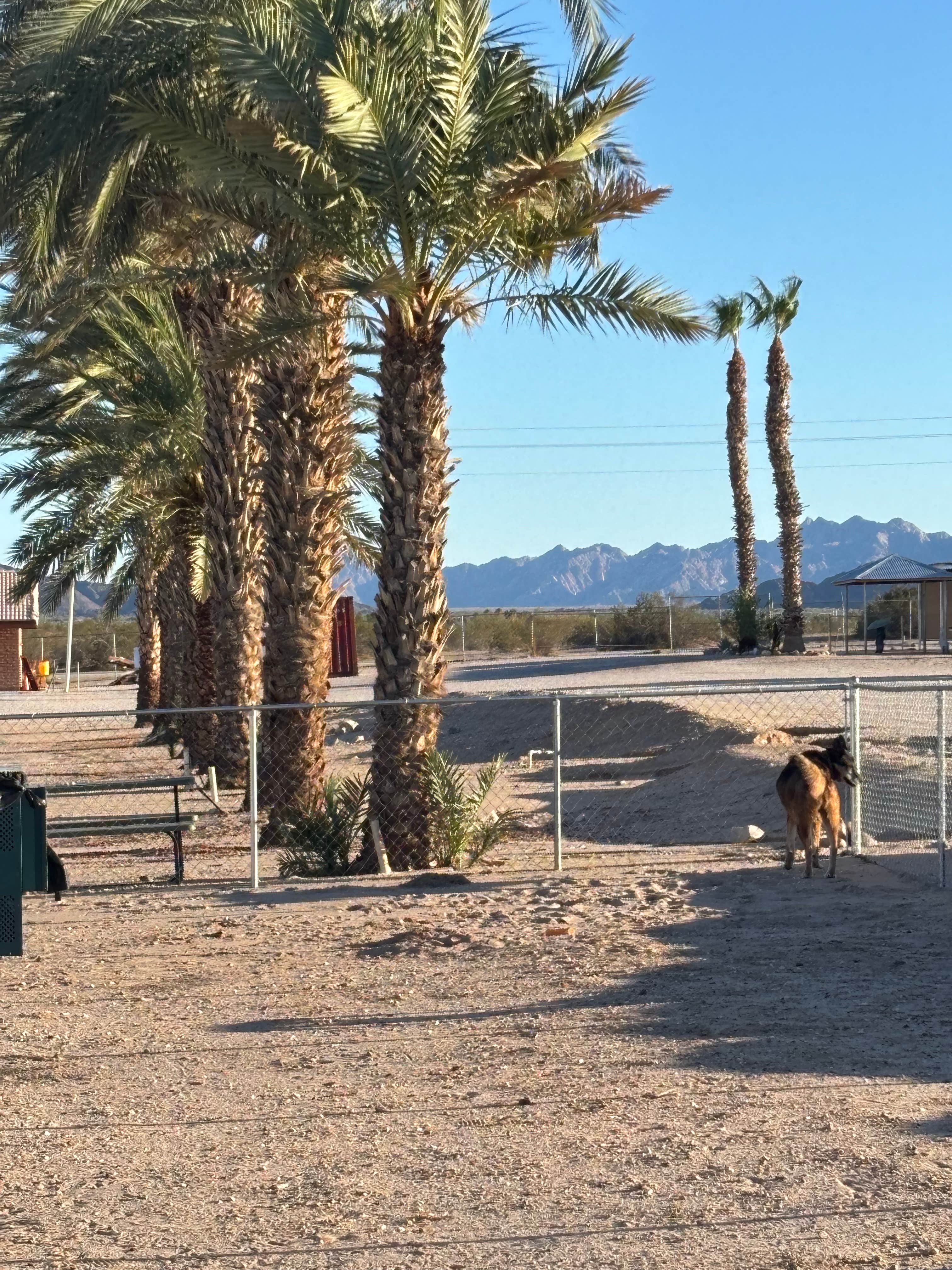 Camper-submitted photo at Tier Drop RV Park near Dateland, AZ