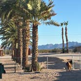Review photo of Tier Drop RV Park by Mark R., August 30, 2025
