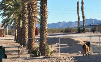 Mark R.'s photo of camping with pets at Tier Drop RV Park near Winterhaven, CA