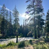 Review photo of Tieton River spot by Emily E., May 31, 2026