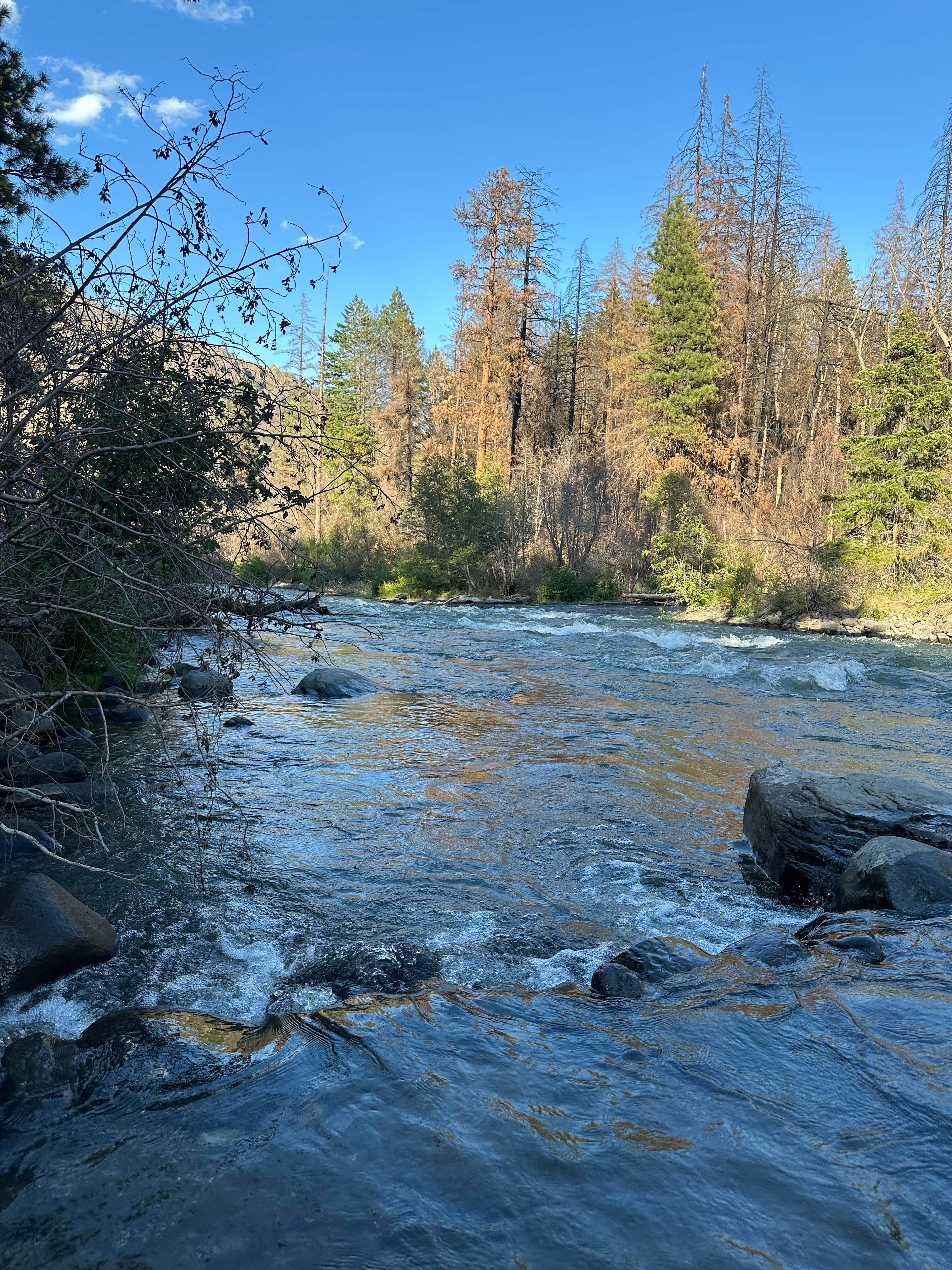 Camper-submitted photo at Tieton River spot near Parker, WA