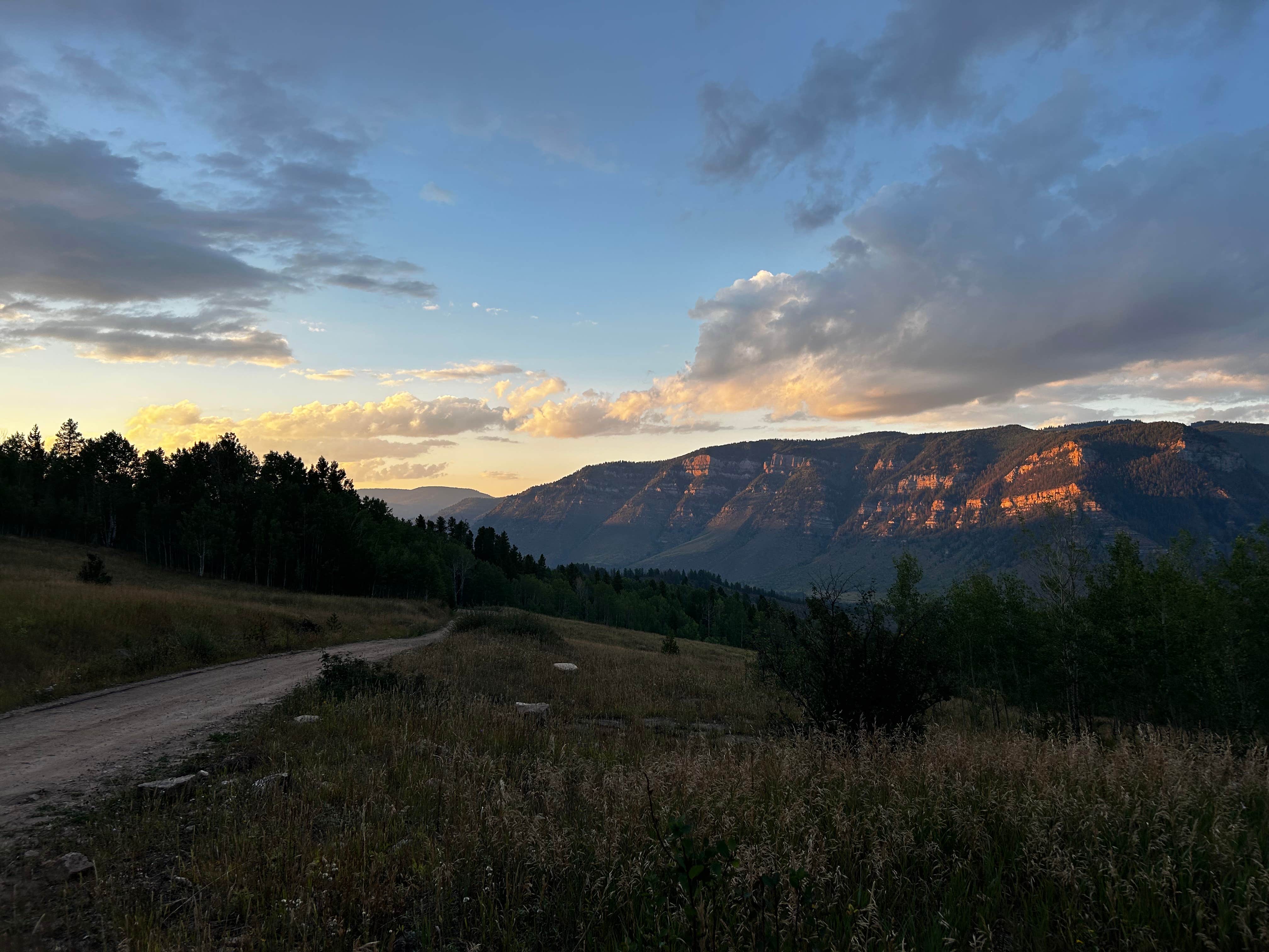tabby M.'s photo of a dispersed camping area at Tigiwon Road near Copper Mountain, CO