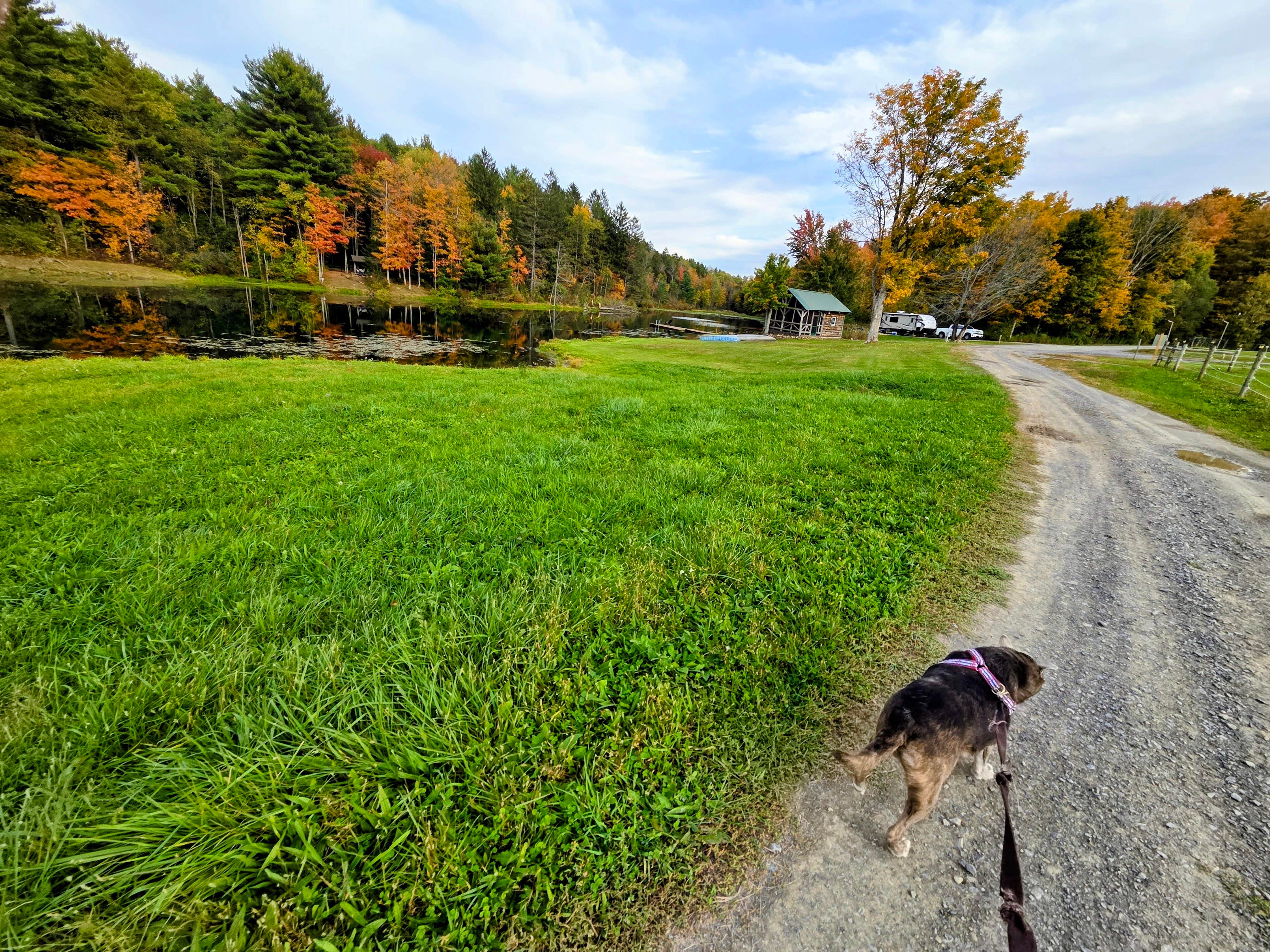 Camper-submitted photo at Tilden Hill Farm near Utica, NY