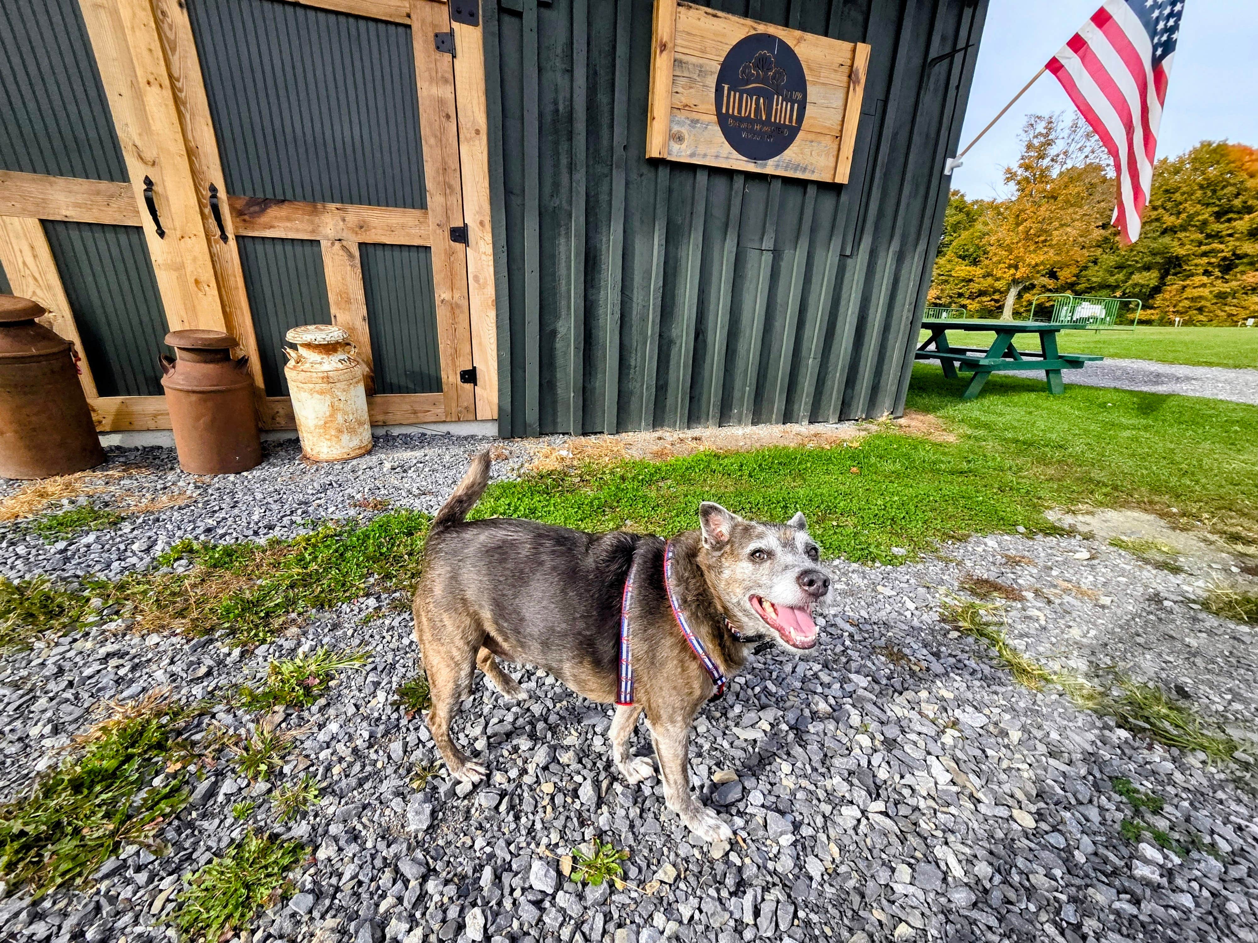 Camper-submitted photo at Tilden Hill Farm near Utica, NY