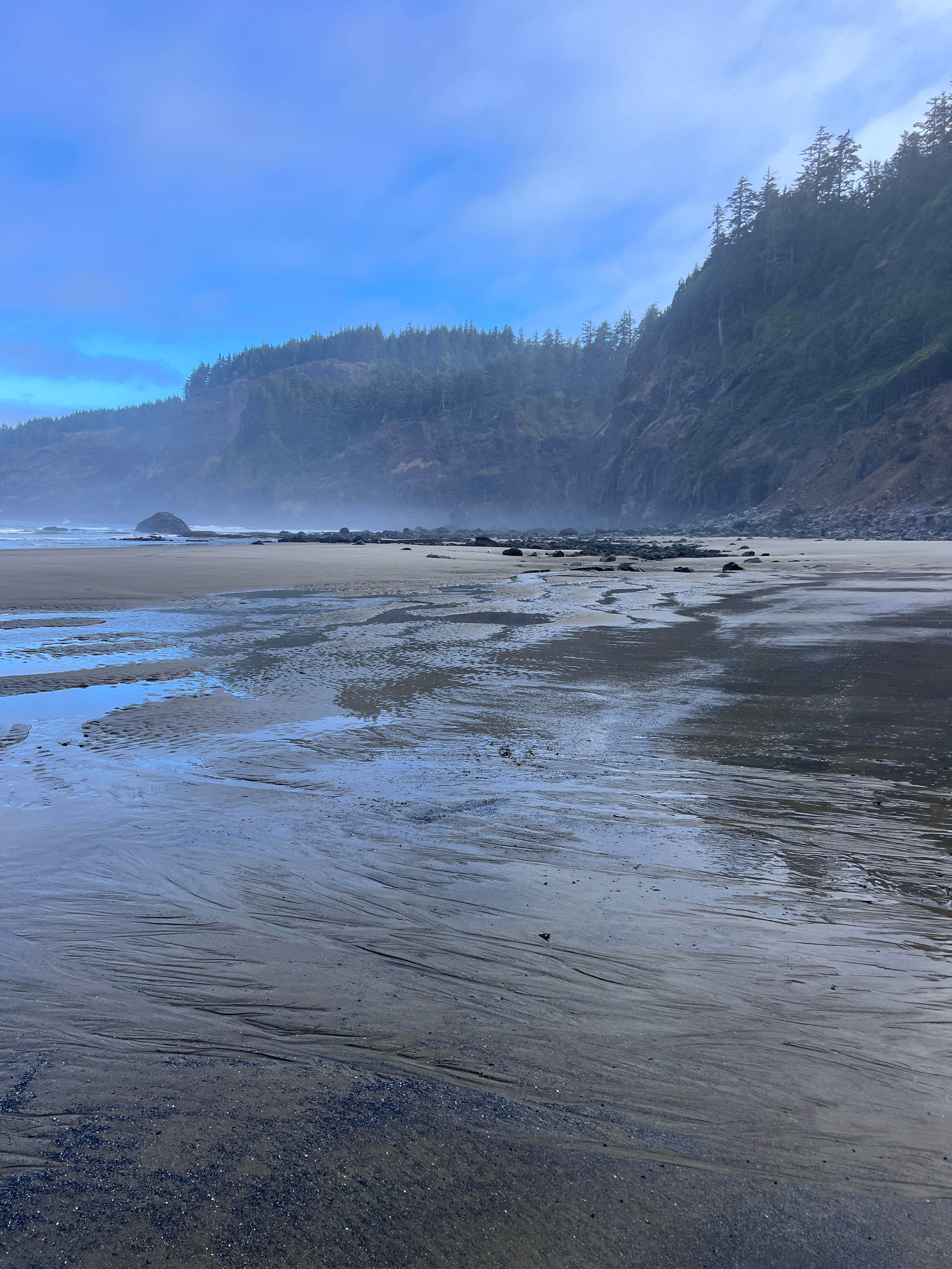 Camper-submitted photo at Tillamook Bay City RV Park near Tillamook, OR