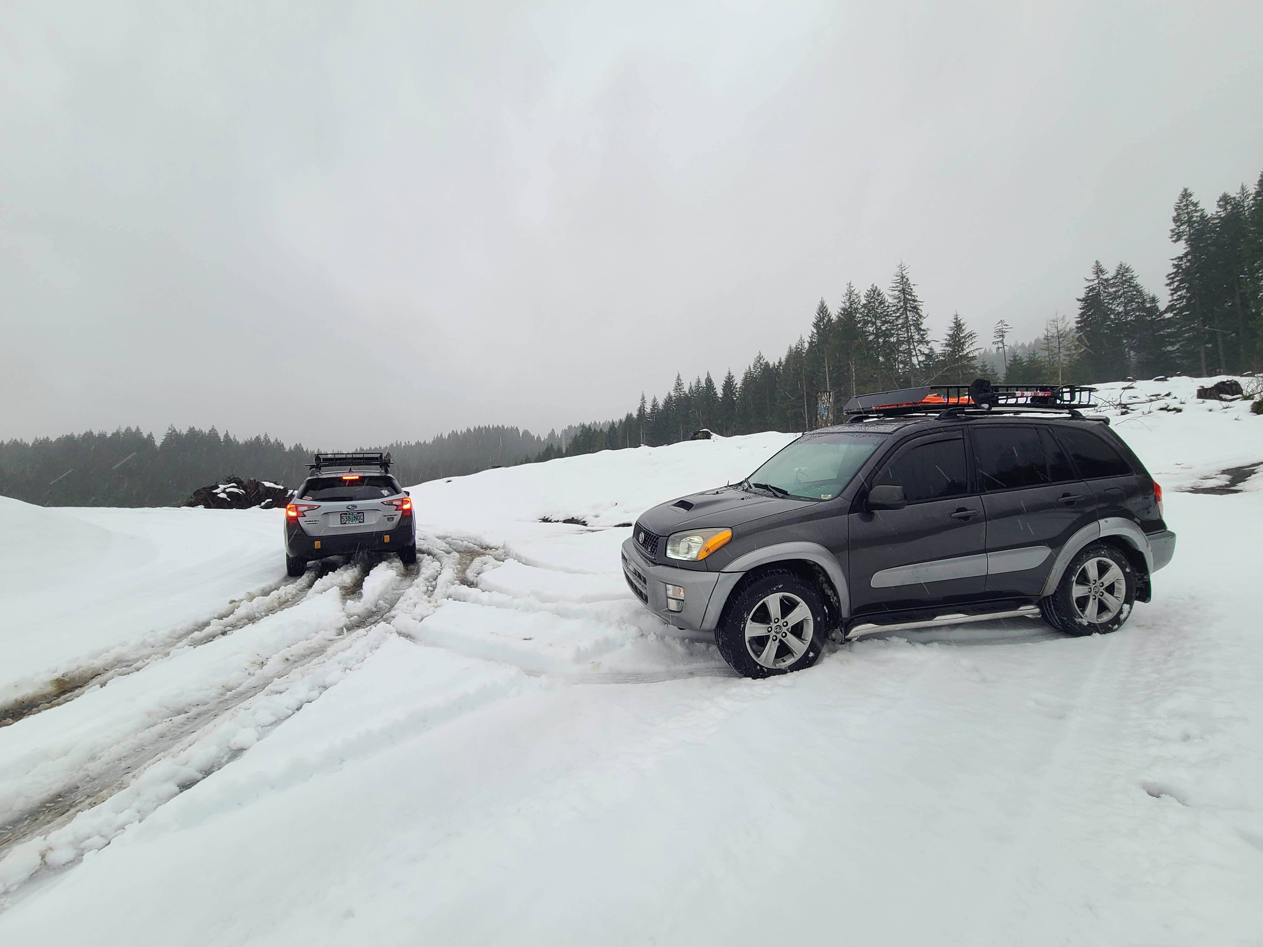 Camper submitted image from Tillamook Forest Dispersed - Shots and Pecks - 1