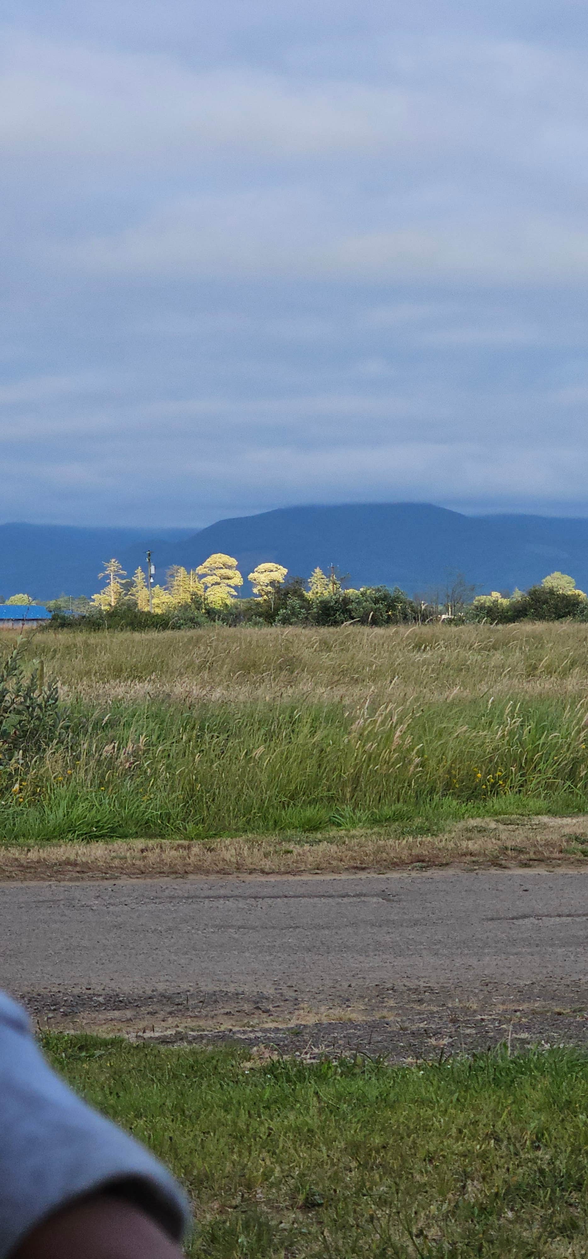 Camper-submitted photo at Tillamook Coast RV Park near Beaver, OR