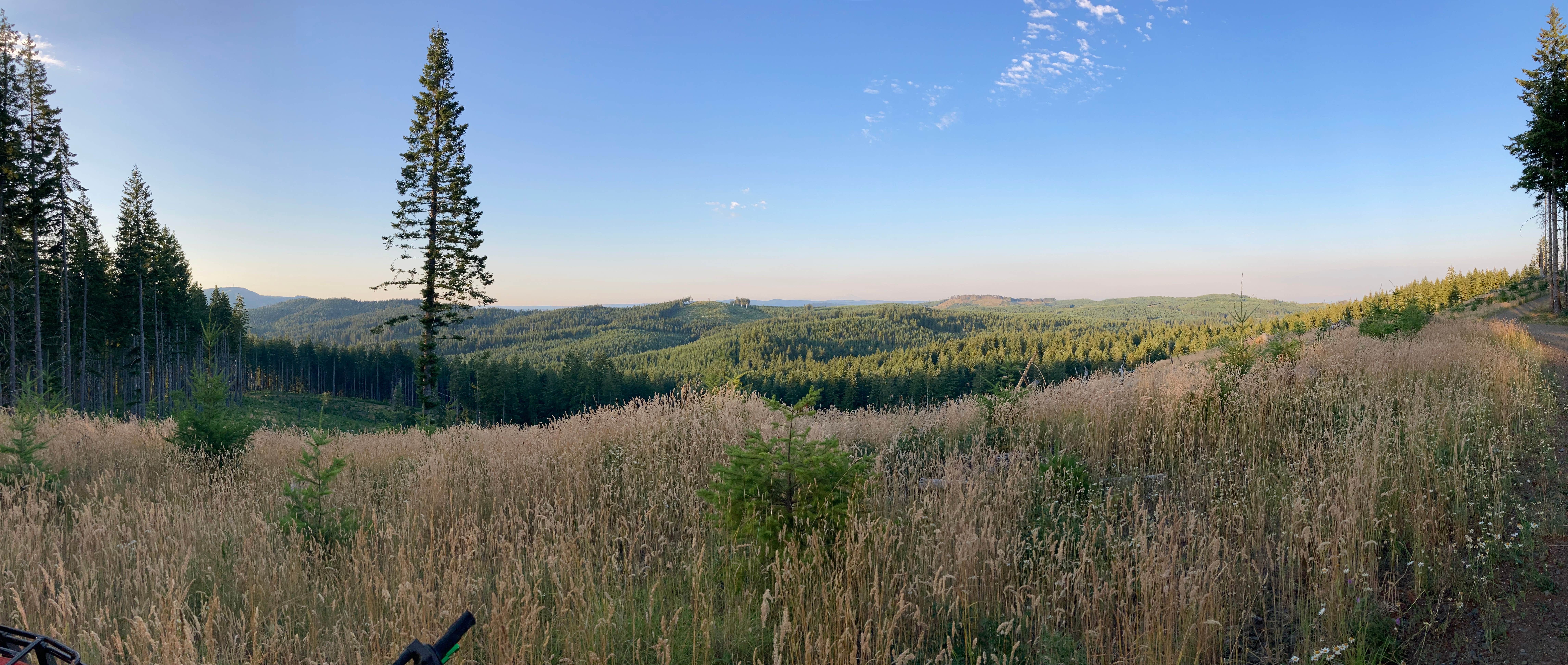 Camper-submitted photo at Browns Camp - OHV near Gales Creek, OR