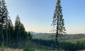 Camping near Hares Canyon Horse Camp — L.L. Stub Stewart State Park: Browns Camp - OHV, Gales Creek, Oregon