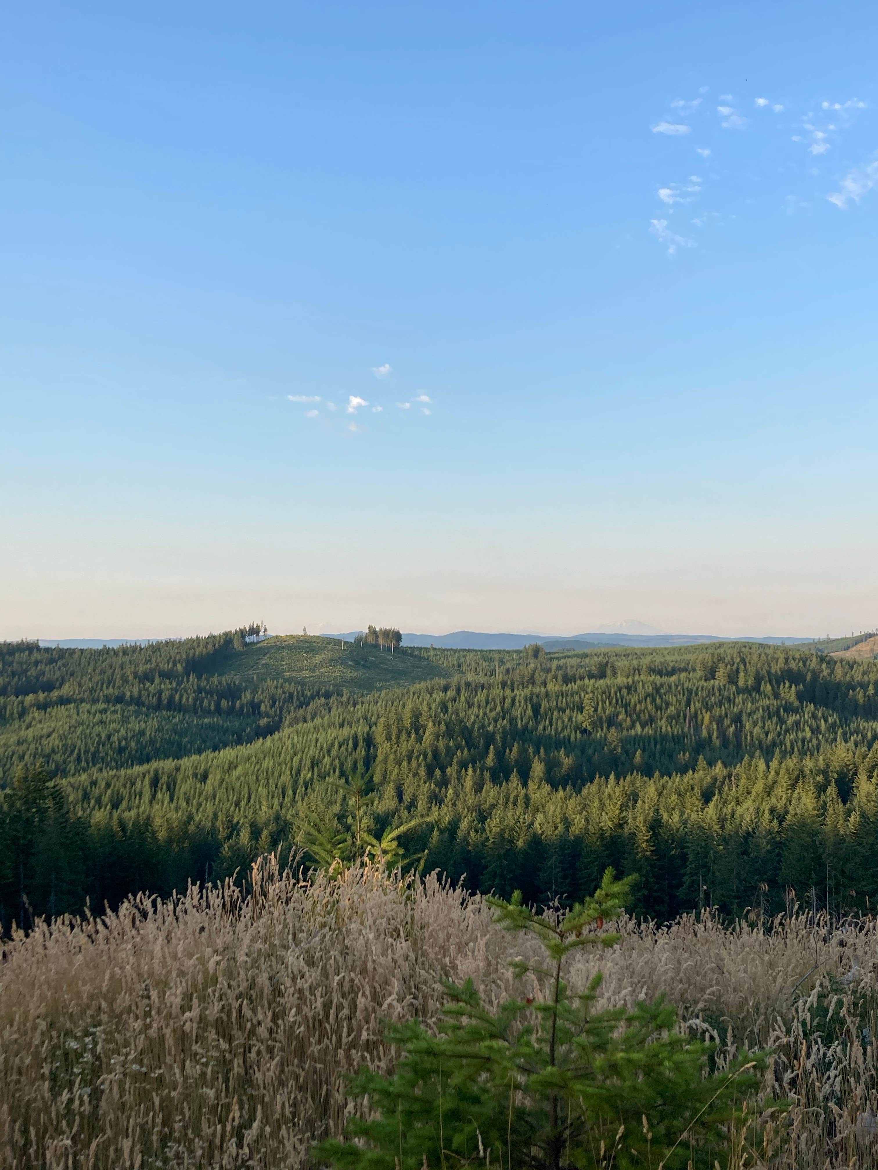 Camper-submitted photo at Browns Camp - OHV near Gales Creek, OR