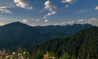 Ansley P.'s photo of a dispersed camping area at Tillamook State Forest Dispersed Camping near Warren, OR