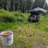 Review photo of Tillamook State Forest Dispersed Camping by Michael P., May 20, 2025
