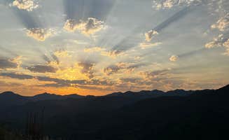 Ansley P.'s photo of a dispersed camping area at Tillamook State Forest Dispersed Camping near St. Helens, OR