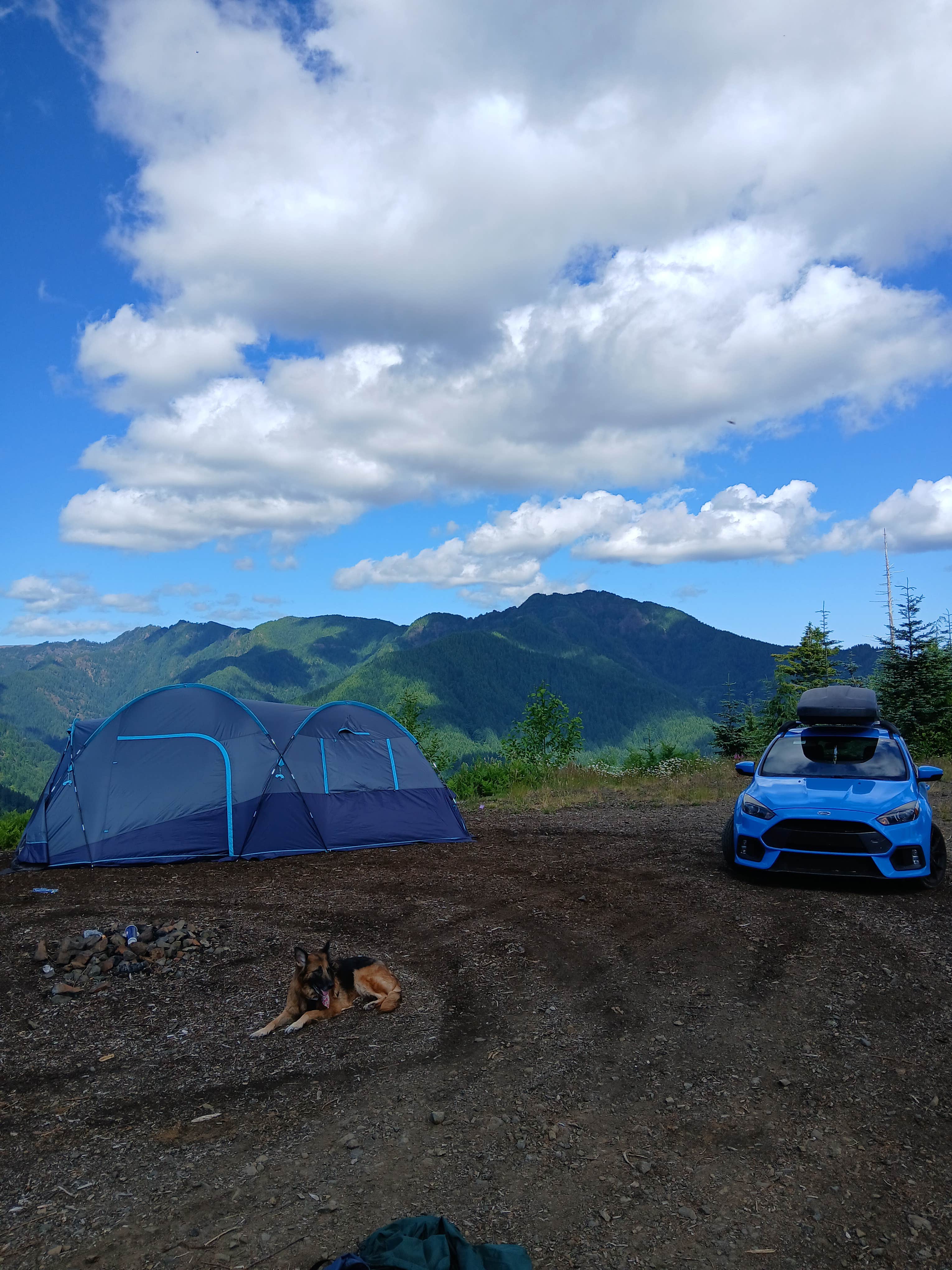 Israel S.'s photo of camping with pets at Tillamook State Forest Dispersed Camping near Vernonia, OR