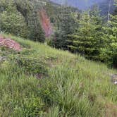 Review photo of Tillamook State Forest Dispersed Camping by Bekah M., May 24, 2026