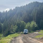 Review photo of Tillamook State Forest Dispersed Camping by brendan , May 28, 2025