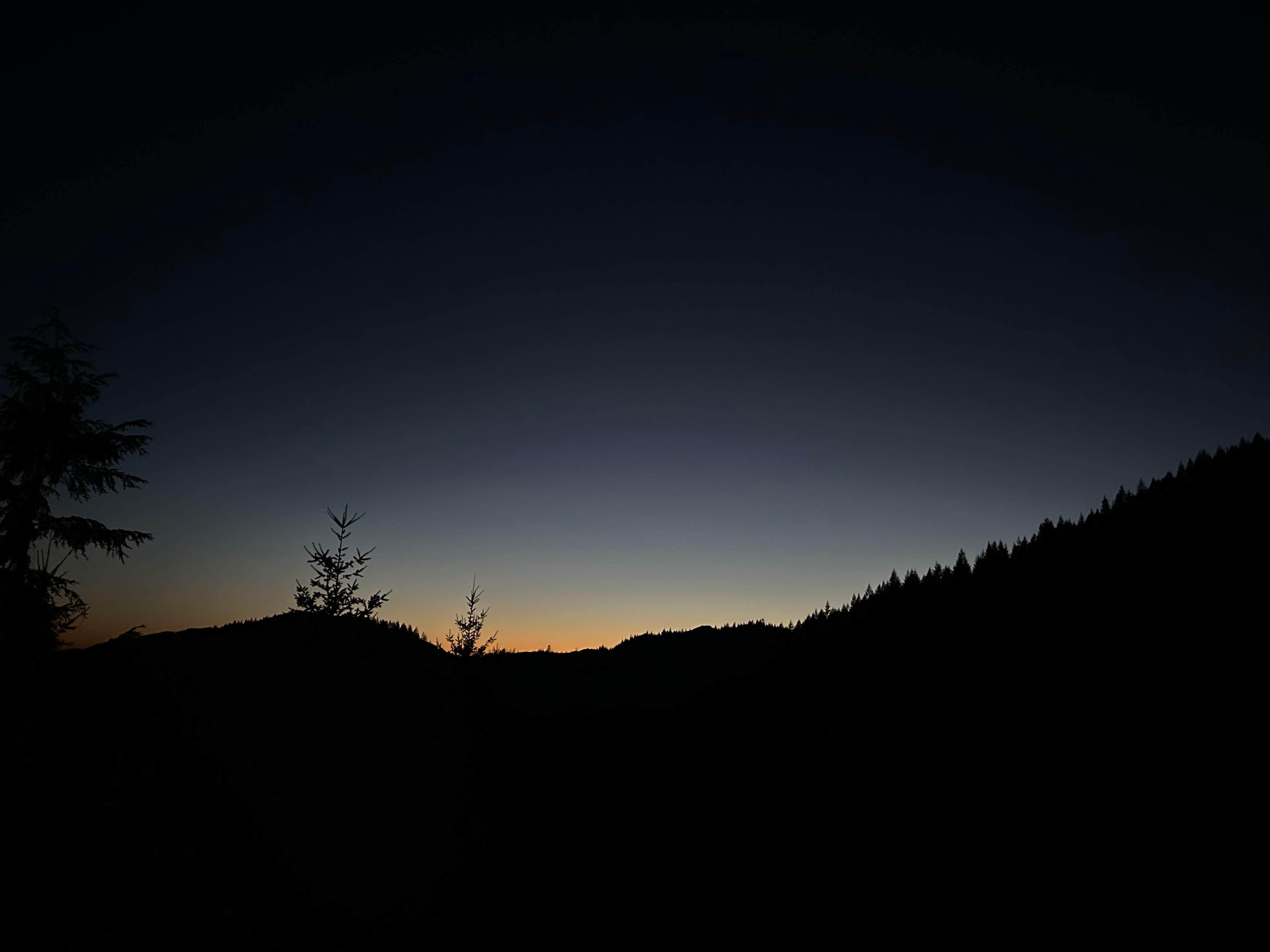 Tillamook State Forest Dispersed Camping | Tillamook State Forest, OR