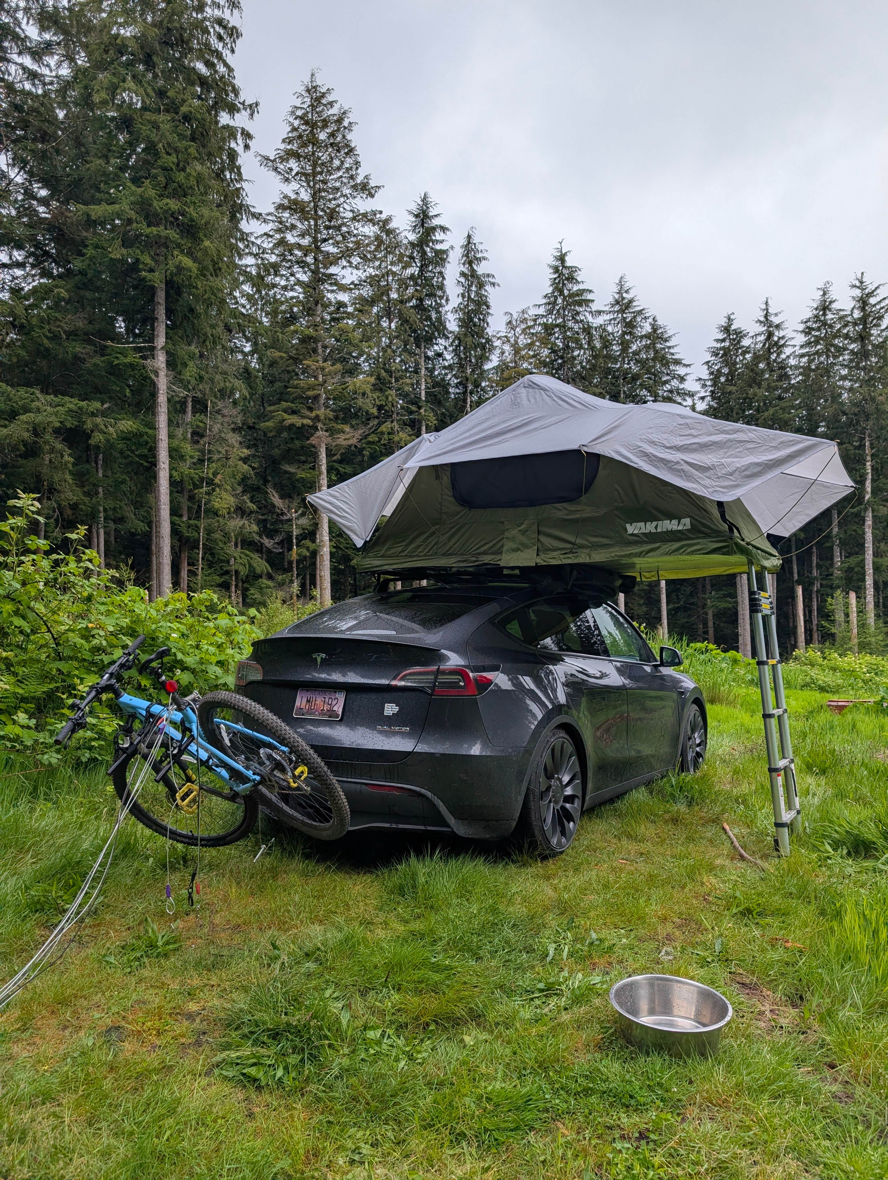 Camper-submitted photo at Tillamook State Forest Dispersed Camping near Hillsboro, OR